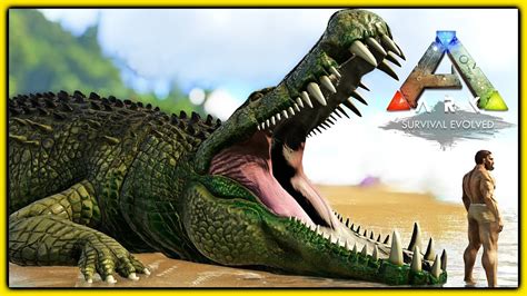 Ark deinosuchus - 28 jan. 2021 ... Subscribe for More Ark ➜ http://bit.ly/SUBTOSYNTAC Hit the Notification Bell to keep up with my Uploads! My Youtooz is LIVE!
